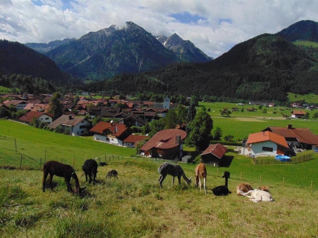 Alpakahof Wechs Vila Bad Hindelang Exterior foto