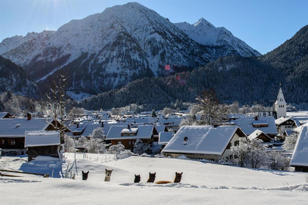 Alpakahof Wechs Vila Bad Hindelang Exterior foto
